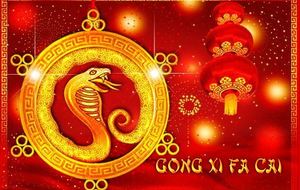 CHINA HAPPY NEW YEAR! BONNE ANNEE!!